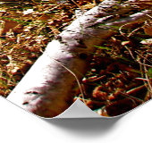 Verlaten Poster (Hoek)