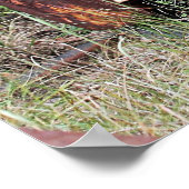 Verlaten Poster vrachtwagen (Hoek)