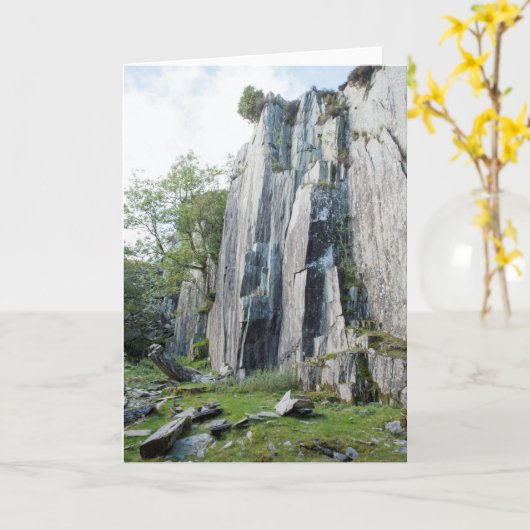 Verlaten Quarry Tilberthwaite Kaart (Gele Bloem)