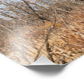 Verlaten Saskatchewan Foto Afdruk (Hoek)