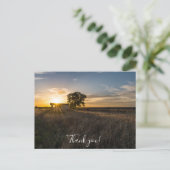 Verlaten schuur Colorado zonsondergang bedankt ans Briefkaart (Staand voorkant)