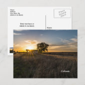 Verlaten Shed Colorado Sunset Briefkaart (Voorkant / Achterkant)