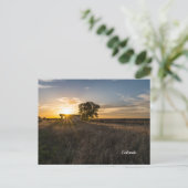 Verlaten Shed Colorado Sunset Briefkaart (Staand voorkant)