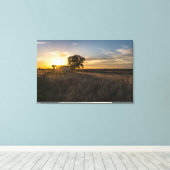 Verlaten Shed Colorado Sunset Canvas Afdruk (Insitu (Houten vloer))