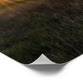 Verlaten Shed Colorado Sunset Poster (Hoek)
