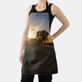 Verlaten Shed Colorado Sunset Schort (Insitu)