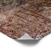 Verlaten Shed Poster (Hoek)