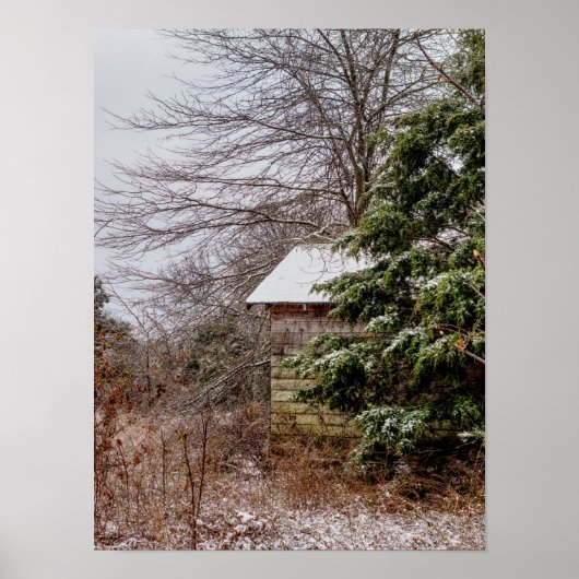 Verlaten Shed Poster (Voorkant)