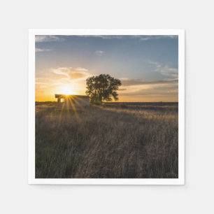 Verlaten soennisetpapier van Shed Colorado Napkin Servet