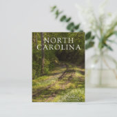 Verlaten Spoorlijn In Een Bos Briefkaart (Staand voorkant)