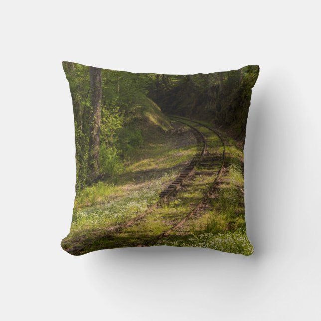 Verlaten Spoorlijn In Een Bos Kussen (Voorkant)