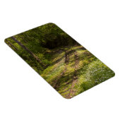 Verlaten Spoorlijn In Een Bos Magneet (Rechterzijde)