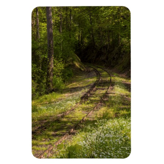 Verlaten Spoorlijn In Een Bos Magneet (Verticaal)