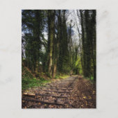 Verlaten spoortracks HDR Briefkaart (Voorkant)