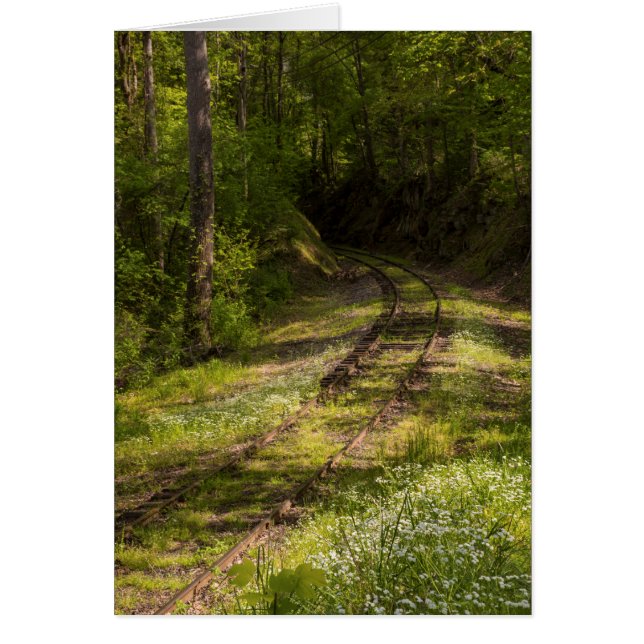 Verlaten spoorweg in een bos (Voorkant)