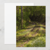 Verlaten spoorweg in een bos bedankkaart (Voorkant / Achterkant)