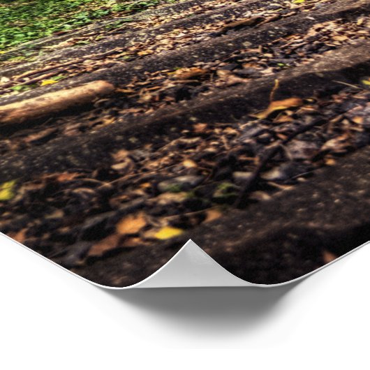 Verlaten Spoorwegtracks HDR Poster (Hoek)