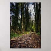 Verlaten Spoorwegtracks HDR Poster (Voorkant)