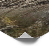 Verlaten trein met Graffiti Urban Street Art Poster (Hoek)