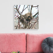 Verlaten vogelnest in het voorjaar canvas afdruk (Insitu (Woonkamer))