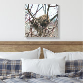 Verlaten vogelnest in het voorjaar canvas afdruk (Insitu (Slaapkamer))