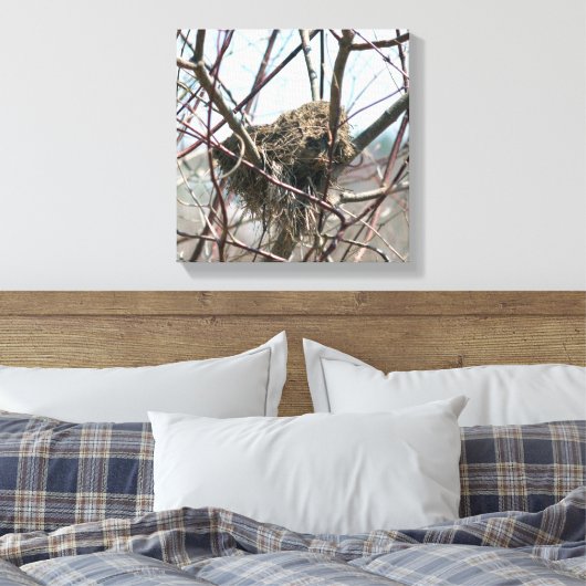 Verlaten vogelnest in het voorjaar canvas afdruk (Insitu (Slaapkamer))