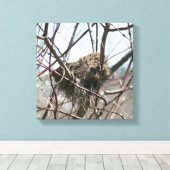 Verlaten vogelnest in het voorjaar canvas afdruk (Insitu (Houten vloer))