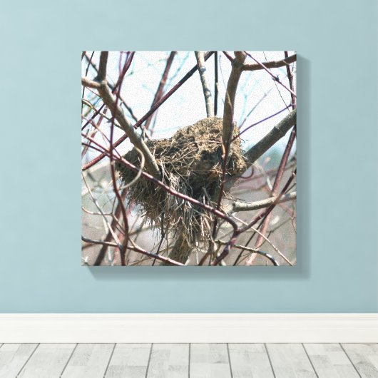 Verlaten vogelnest in het voorjaar canvas afdruk (Insitu (Houten vloer))