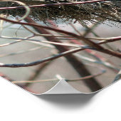 Verlaten vogelnest in het voorjaar poster (Hoek)