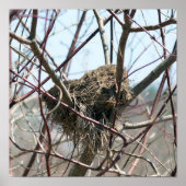 Verlaten vogelnest in het voorjaar poster (Voorkant)