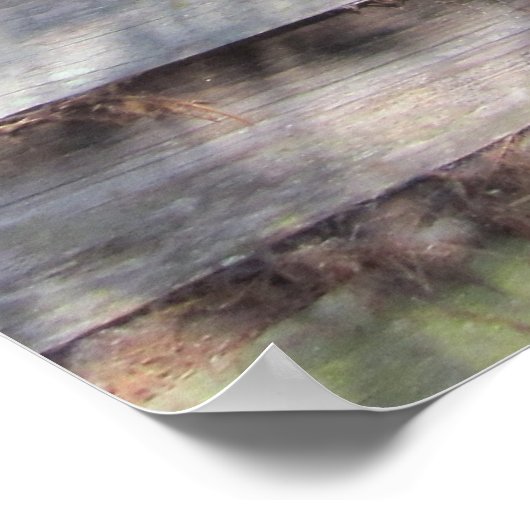 Verlaten Weathered Barn-deur Poster (Hoek)