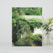 Verlaten Witte Huis in de Bossen (Staand voorkant)