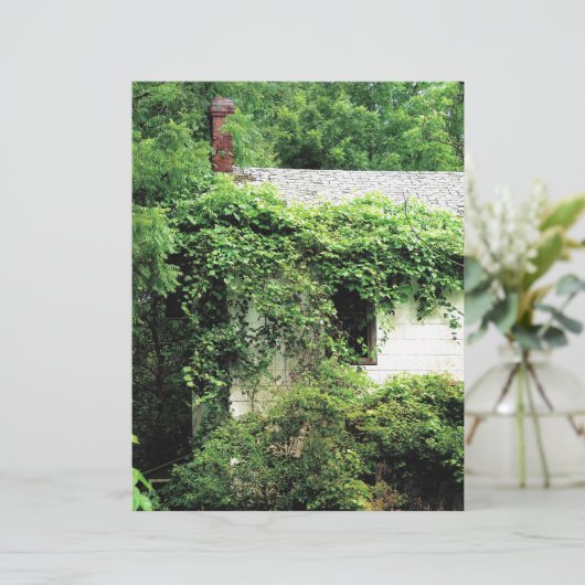 Verlaten Witte Huis in de Bossen (Staand voorkant)