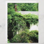 Verlaten Witte Huis in de Bossen (Voorkant / Achterkant)