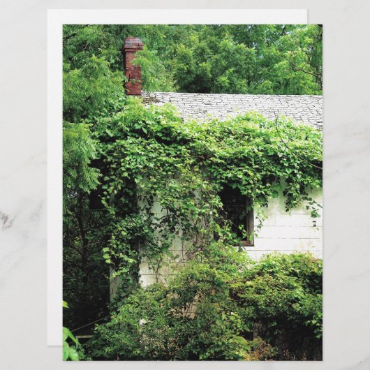 Verlaten Witte Huis in de Bossen (Voorkant / Achterkant)