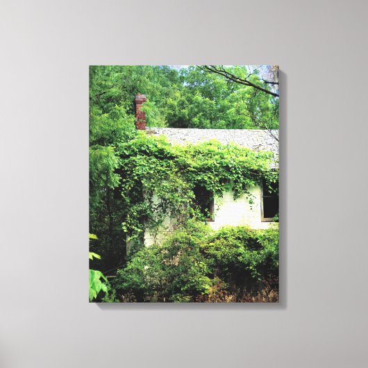 Verlaten Witte Huis in de Bossen Canvas Afdruk (Voorkant)