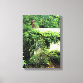 Verlaten Witte Huis in de Bossen Canvas Afdruk