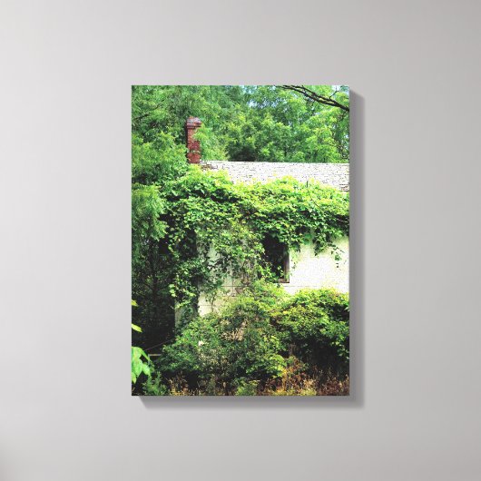 Verlaten Witte Huis in de Bossen Canvas Afdruk (Voorkant)