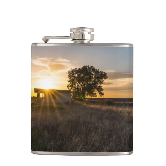 Verlaten zonnekolf van Shed Colorado Heupfles (Voorkant)