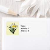 Verlegen Narcisje Etiket (Insitu)