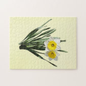 Verlegen Narcisje Legpuzzel (Horizontaal)