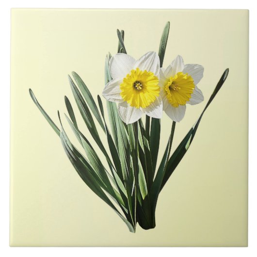 Verlegen Narcisje Tegeltje (Voorkant)