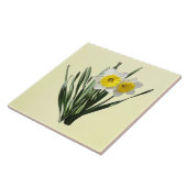 Verlegen Narcisje Tegeltje (Zijkant)