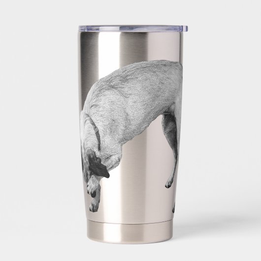 Verlegen-Neus Terrier Vrolijkheid Geïsoleerde Drinkbeker (Links)