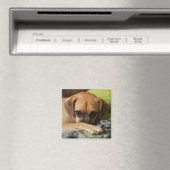 Verlegen puggle magneet (Insitu (Vaatwasser))
