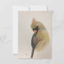 Verlegen Rode Vogel Briefkaart