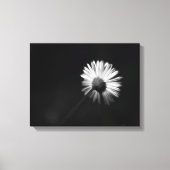 Verlegen witte daisy canvas print (Voorkant)