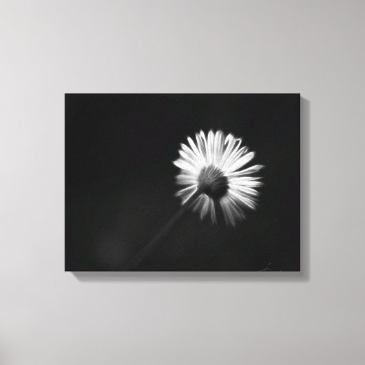 Verlegen witte daisy canvas print (Voorkant)