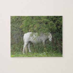 Verlegen Witte Paard Puzzel