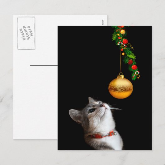 Verleid poesje kat kerst feestdagenkaart (Voorkant / Achterkant)